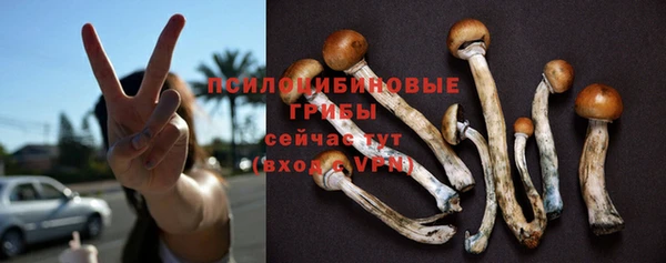 тгк Краснослободск