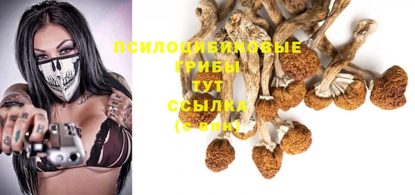 тгк Краснослободск