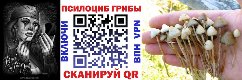Купить где  Зеленоградск  Псилоцибиновые грибы мицелий 